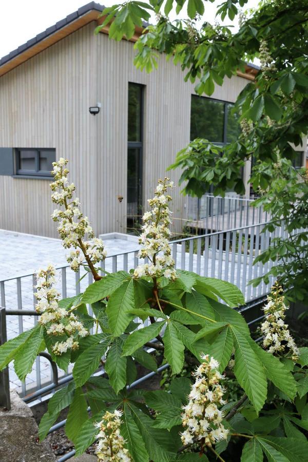 Klemmbachidyll Apartment Badenweiler Exterior photo
